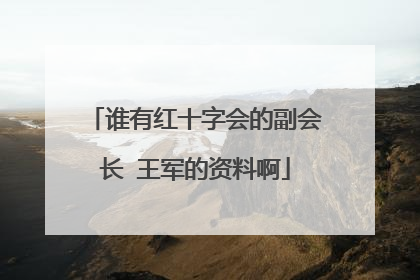 谁有红十字会的副会长 王军的资料啊