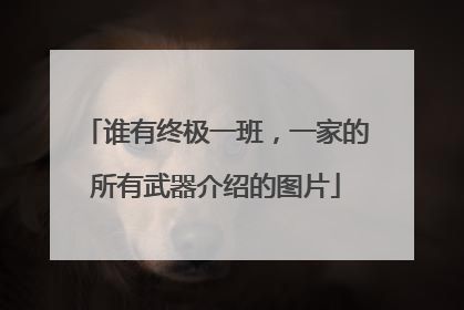 谁有终极一班,一家的所有武器介绍的图片