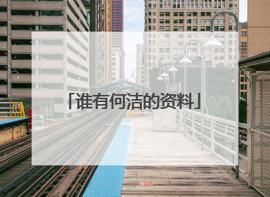 谁有何洁的资料