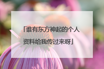 谁有东方神起的个人资料给我传过来呀
