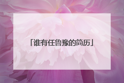 谁有任鲁豫的简历