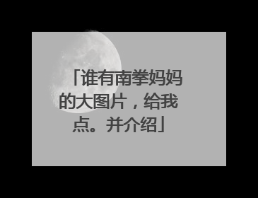 谁有南拳妈妈的大图片，给我点。并介绍