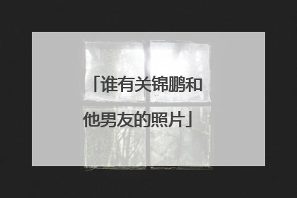 谁有关锦鹏和他男友的照片
