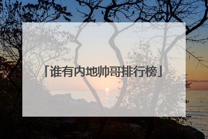 谁有内地帅哥排行榜