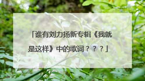 谁有刘力扬新专辑《我就是这样》中的歌词???