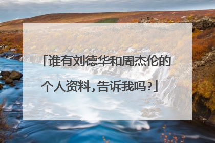 谁有刘德华和周杰伦的个人资料,告诉我吗?