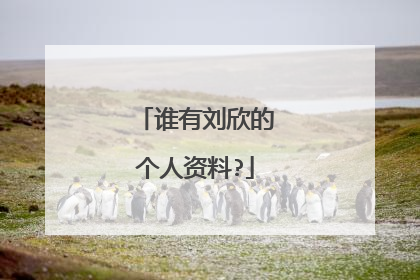 谁有刘欣的个人资料?