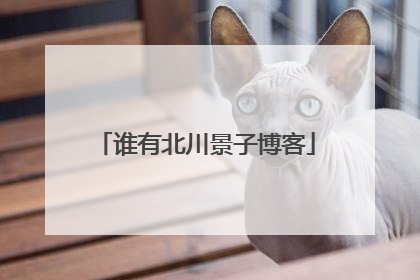 谁有北川景子博客