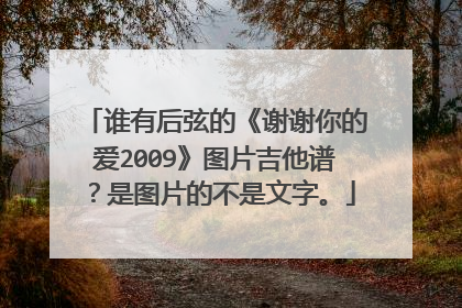 谁有后弦的《谢谢你的爱2009》图片吉他谱？是图片的不是文字。