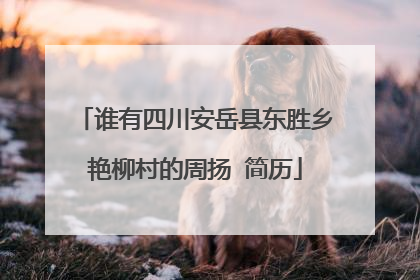 谁有四川安岳县东胜乡艳柳村的周扬 简历