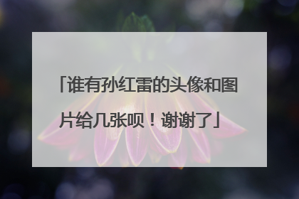 谁有孙红雷的头像和图片给几张呗!谢谢了