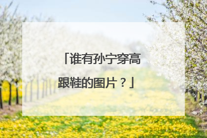 谁有孙宁穿高跟鞋的图片？