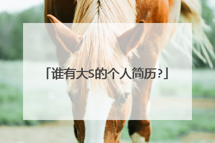 谁有大S的个人简历?