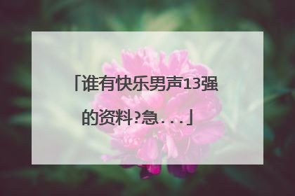 谁有快乐男声13强的资料?急...