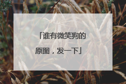谁有微笑狗的原图，发一下