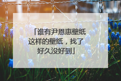 谁有尹恩惠壁纸这样的壁纸，找了好久没好到