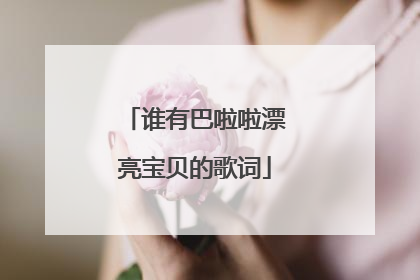 谁有巴啦啦漂亮宝贝的歌词