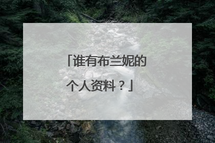 谁有布兰妮的个人资料?