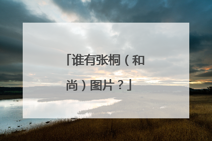 谁有张桐(和尚)图片?