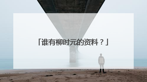 谁有柳时元的资料？