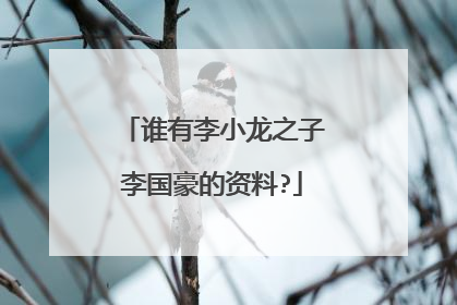 谁有李小龙之子李国豪的资料?
