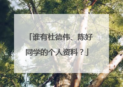 谁有杜德伟、陈好同学的个人资料？