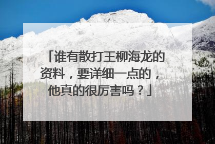 谁有散打王柳海龙的资料，要详细一点的，他真的很厉害吗？