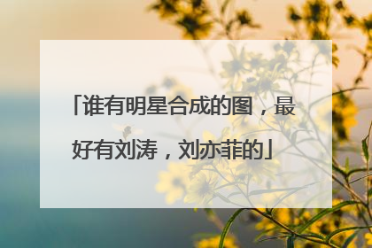 谁有明星合成的图，最好有刘涛，刘亦菲的