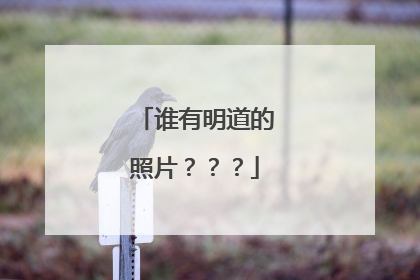 谁有明道的照片???