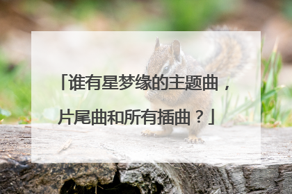 谁有星梦缘的主题曲，片尾曲和所有插曲？