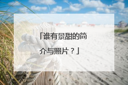 谁有景甜的简介与照片?