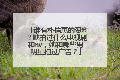 谁有朴信惠的资料?她拍过什么电视剧和MV,她和哪些男明星拍过广告?