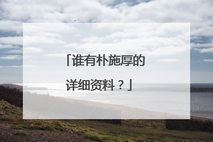 谁有朴施厚的详细资料?