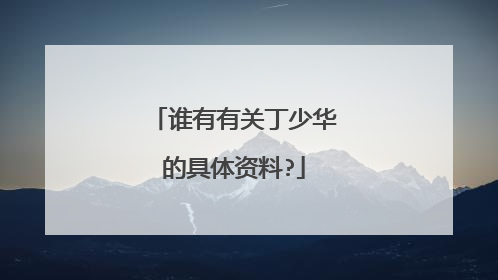 谁有有关丁少华的具体资料?