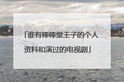 谁有棒棒堂王子的个人资料和演过的电视剧