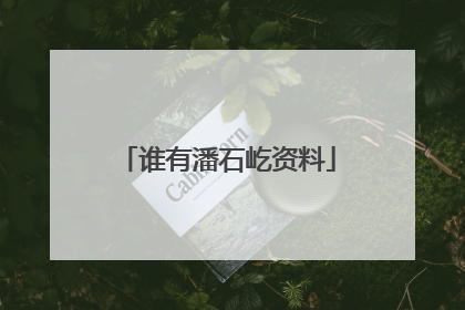 谁有潘石屹资料