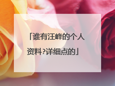 谁有汪峰的个人资料?详细点的