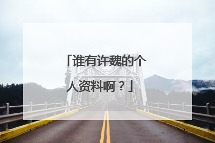 谁有许魏的个人资料啊?