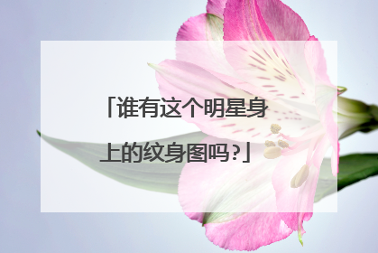 谁有这个明星身上的纹身图吗?