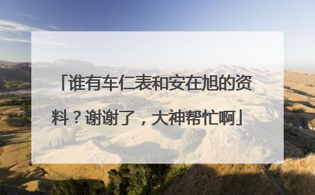 谁有车仁表和安在旭的资料?谢谢了,大神帮忙啊