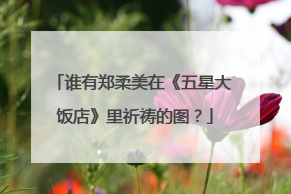 谁有郑柔美在《五星大饭店》里祈祷的图？