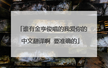 谁有金亨俊唱的我爱你的中文翻译啊 要准确的