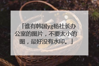 谁有韩国yg杨社长办公室的图片，不要太小的图，最好没有水印。