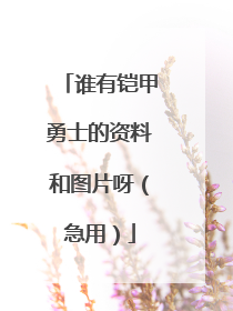 谁有铠甲勇士的资料和图片呀(急用)