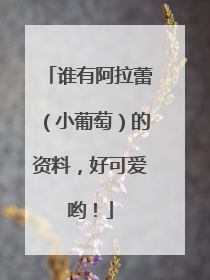 谁有阿拉蕾(小葡萄)的资料,好可爱哟!