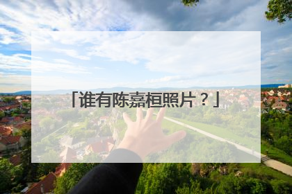 谁有陈嘉桓照片?