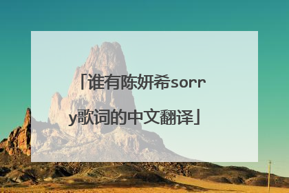 谁有陈妍希sorry歌词的中文翻译