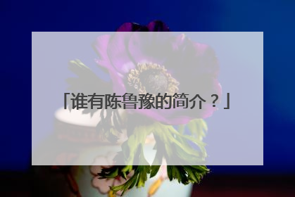 谁有陈鲁豫的简介?