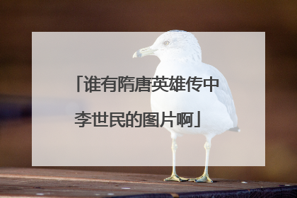 谁有隋唐英雄传中李世民的图片啊