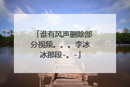谁有风声删除部分视频。。。李冰冰那段-。-